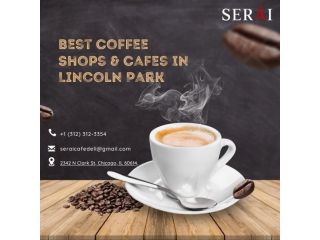 bestest-coffee-spots-in-lincoln-park-il-small-0