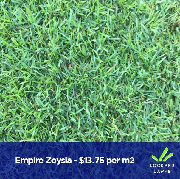 turf-supply-brisbane-big-0