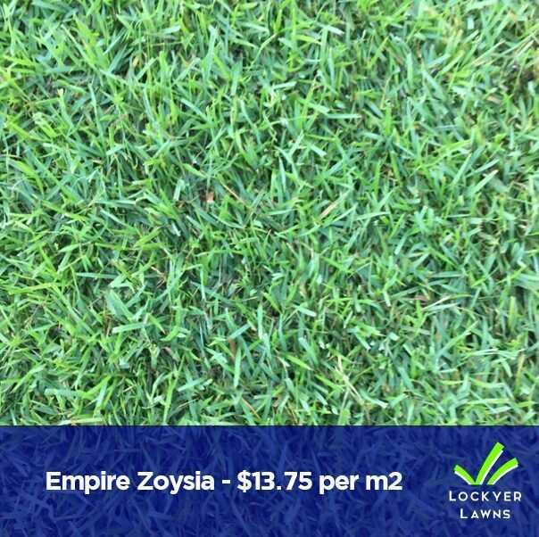 turf-supply-brisbane-big-0