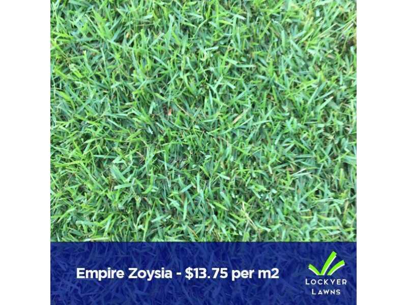 turf-supply-brisbane-small-0