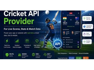 best-cricket-api-provider-in-india-small-0