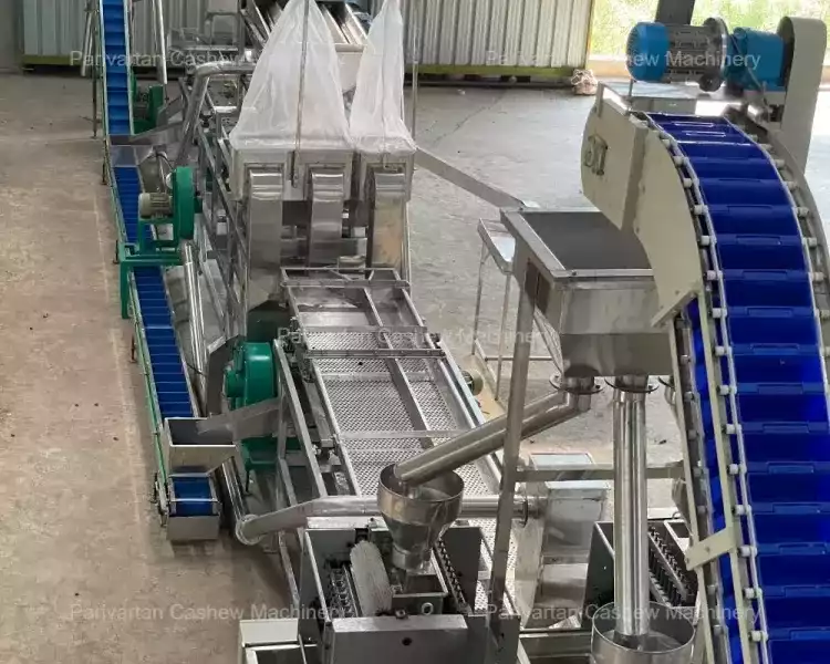 buy-cashew-scooping-machine-for-efficient-kernel-separation