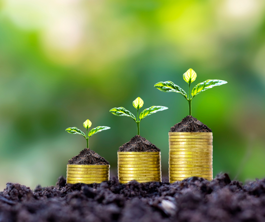 comprehensive-financial-advisor-wealth-management-solutions-big-0