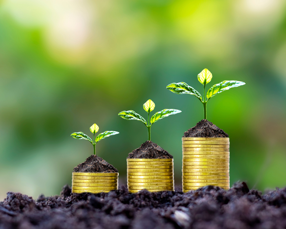 comprehensive-financial-advisor-wealth-management-solutions