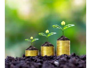 comprehensive-financial-advisor-wealth-management-solutions-small-0