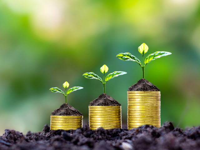 comprehensive-financial-advisor-wealth-management-solutions