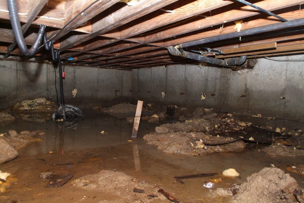 pioneer-basement-big-0