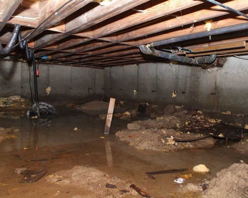 pioneer-basement