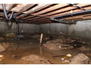 pioneer-basement-small-0