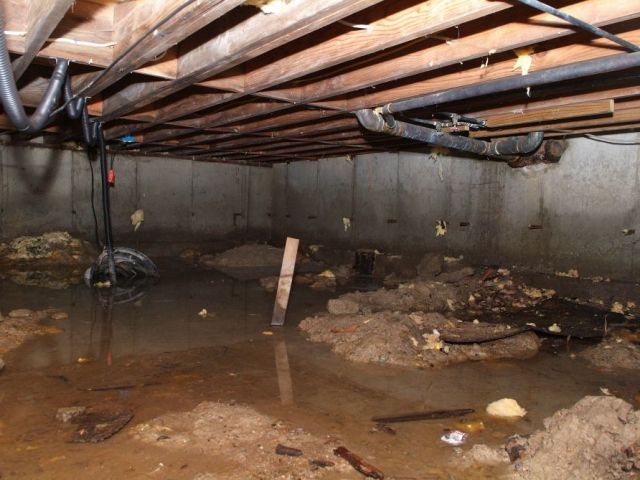 pioneer-basement