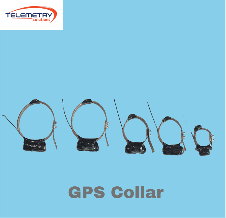 gps-collar-devices-designed-for-safe-and-secure-pet-care-big-0