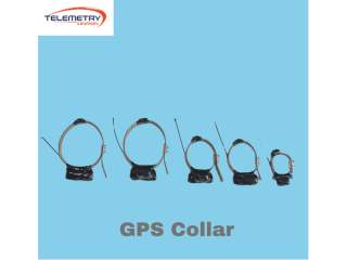 gps-collar-devices-designed-for-safe-and-secure-pet-care-small-0