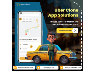 losing-revenue-in-taxi-business-small-0