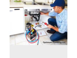 trusted-plumbing-company-land-o-lakes-for-quality-services-small-0