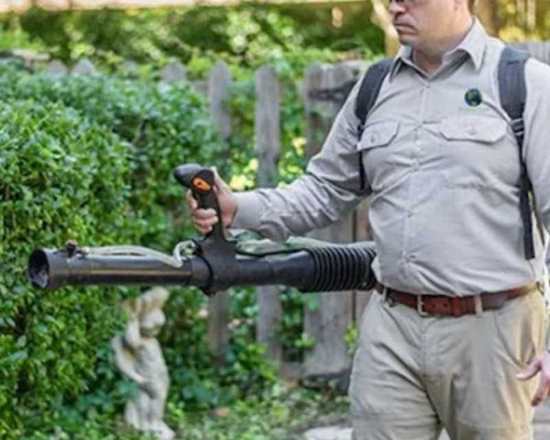 mrs-green-planet-safe-pest-control-services-in-atlanta