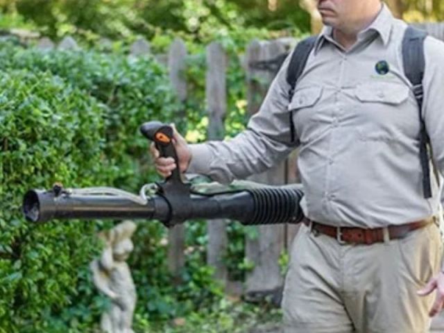 mrs-green-planet-safe-pest-control-services-in-atlanta