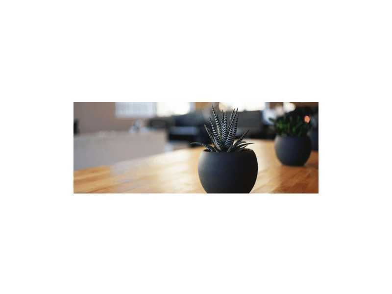 transforming-minds-with-cognitive-behavioral-therapy-small-0