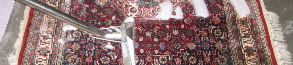 area-rug-cleaning-miami-traditional-area-rugs-big-0