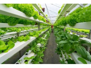 all-in-one-grower-management-software-for-greenhouse-operations-small-0
