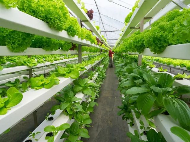 all-in-one-grower-management-software-for-greenhouse-operations
