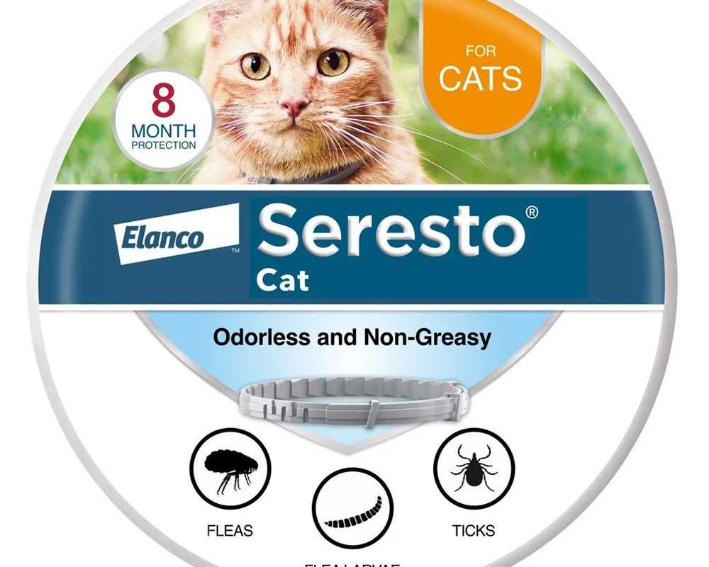 seresto-collar-for-cats-20-off-free-shipping-petcareclub