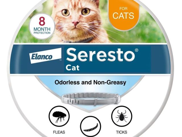 seresto-collar-for-cats-20-off-free-shipping-petcareclub