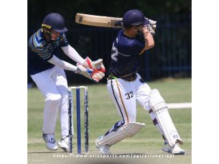 how-cricket-data-api-delivers-real-time-stats-match-results-small-0