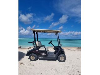 book-bahamas-golf-cart-for-rent-small-0