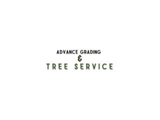 tree-trimming-near-me-advance-grading-tree-service-small-0