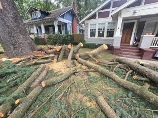 tree-trimming-near-me-advance-grading-tree-service-small-2
