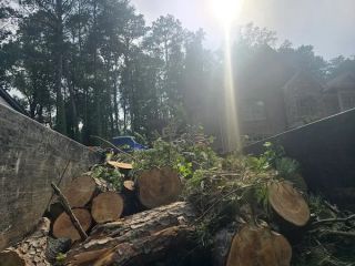 tree-trimming-near-me-advance-grading-tree-service-small-1