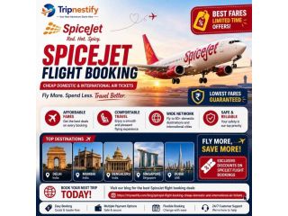 spicejet-flight-booking-cheap-domestic-international-small-0