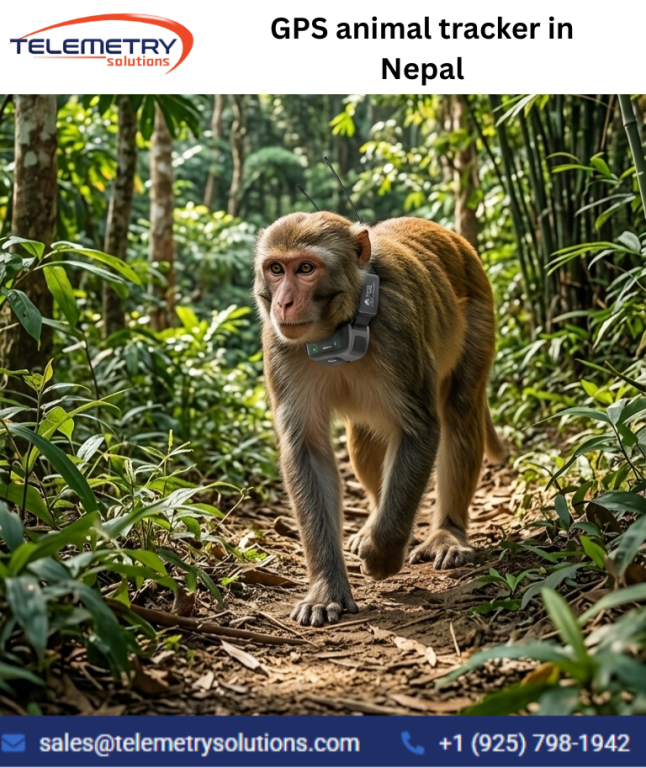 gps-animal-tracker-in-nepal-for-long-term-animal-monitoring-big-0