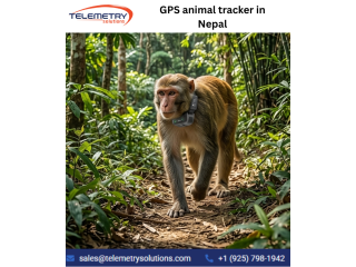 gps-animal-tracker-in-nepal-for-long-term-animal-monitoring-small-0