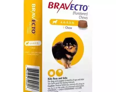 bravecto-sale-20-off-coupon-free-shipping