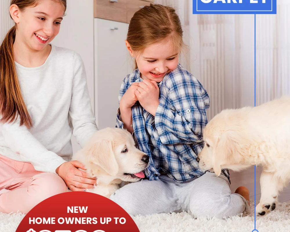 carpet-flooring-at-home-floored-new-york