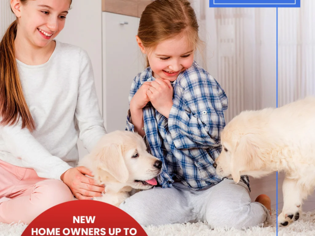 carpet-flooring-at-home-floored-new-york