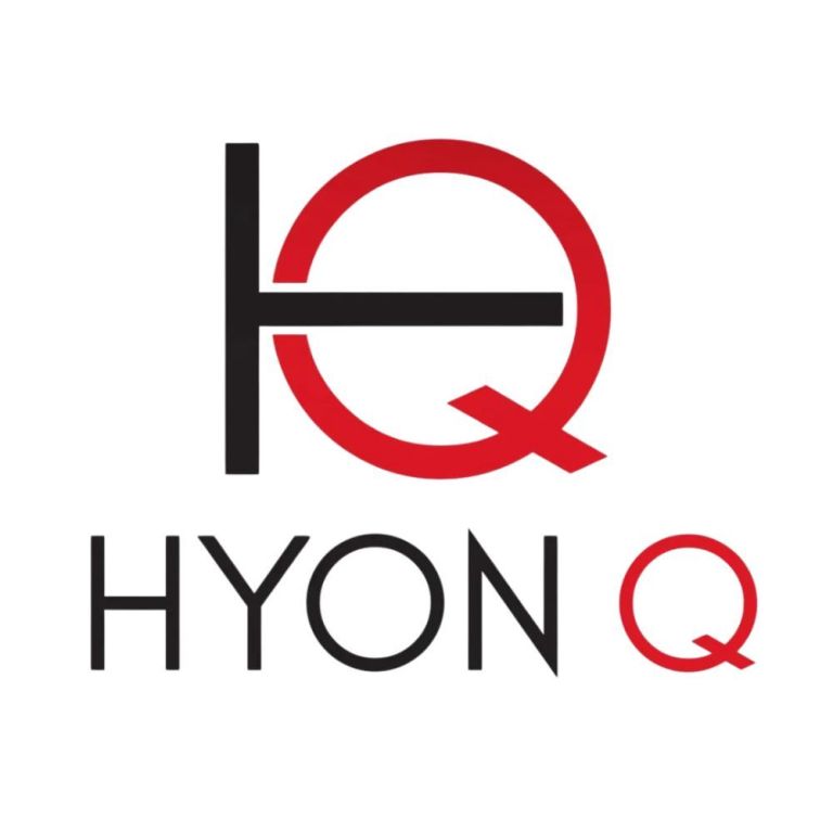entity-formation-services-for-smart-business-growth-hyon-q-big-0