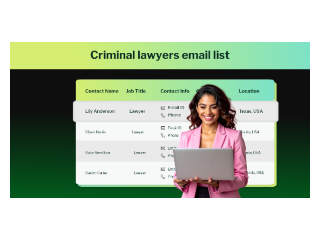 verified-criminal-lawyers-contacts-database-with-100-opt-in-data-small-0