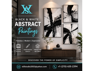 elegant-black-and-white-abstract-paintings-for-modern-spaces-small-0