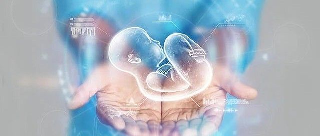 embryo-donation-program-in-laguna-niguel-california-big-0