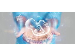 embryo-donation-program-in-laguna-niguel-california-small-0