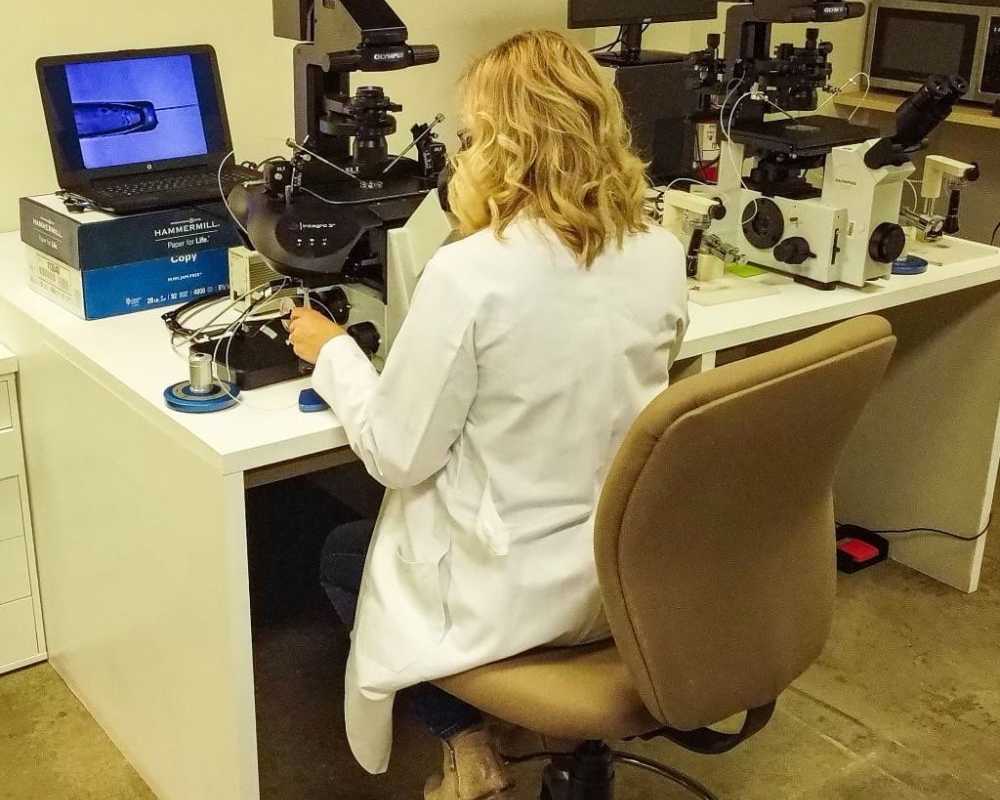 world-embryology-skills-and-training-embryologist-education