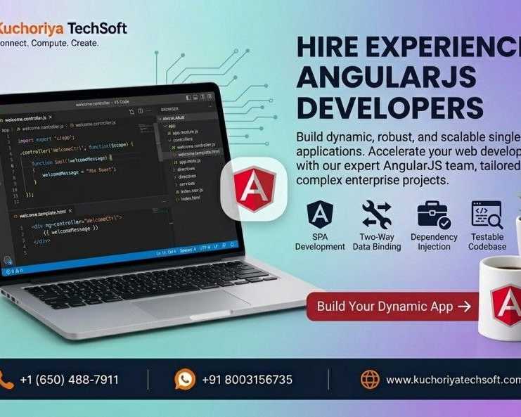 hire-angularjs-developers-for-custom-web-applications