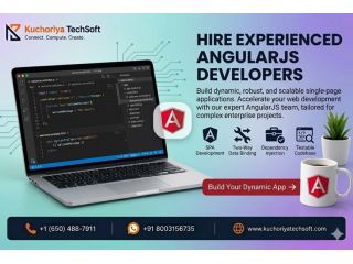 hire-angularjs-developers-for-custom-web-applications-small-0