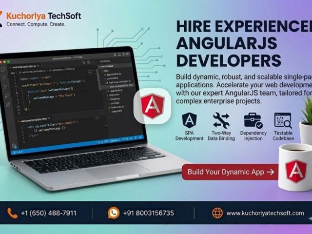 hire-angularjs-developers-for-custom-web-applications