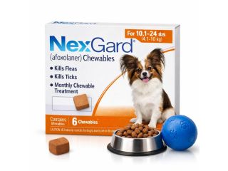 buy-nexgard-for-dogs-monthly-flea-tick-chewables-online-small-0