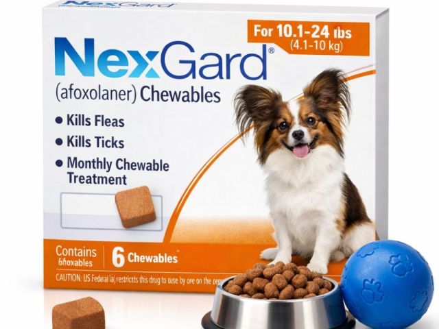 buy-nexgard-for-dogs-monthly-flea-tick-chewables-online