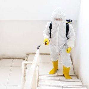 black-mold-remediation-company-castle-pines-big-0
