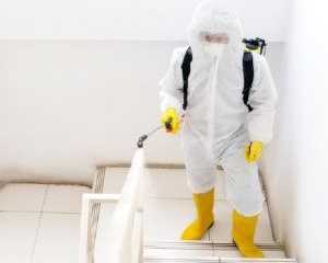 black-mold-remediation-company-castle-pines